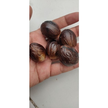

biji pala kering kualitas terbaik berat 1kg