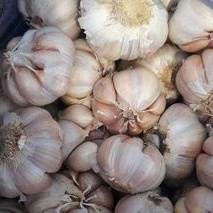 

BAWANG PUTIH HONAN 500gr