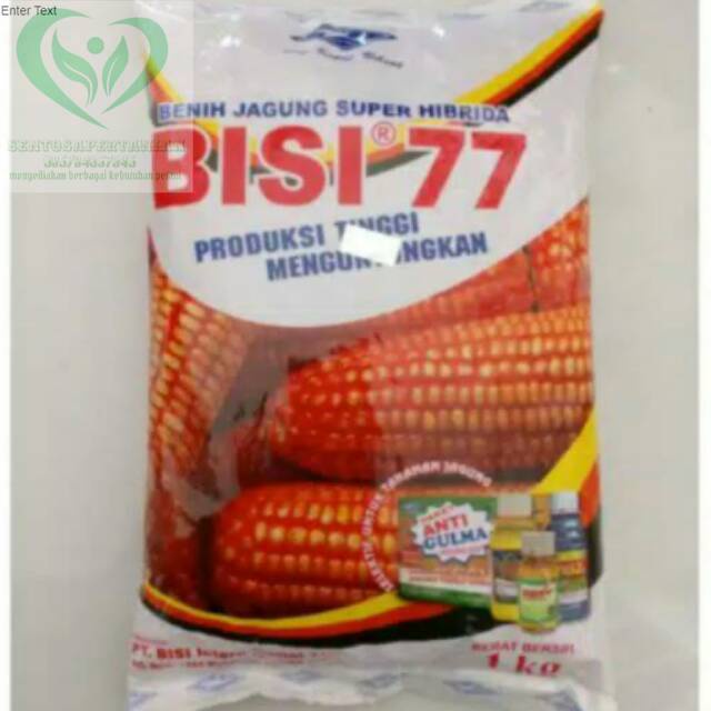 benih jagung super hibrida BISI 77 1kg