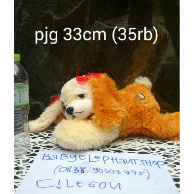 Boneka Preloved Anjing / Dog
