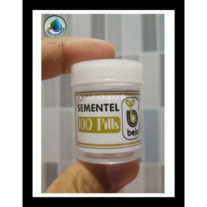 Sementel Bejo Batavia Lettuce 100 pills