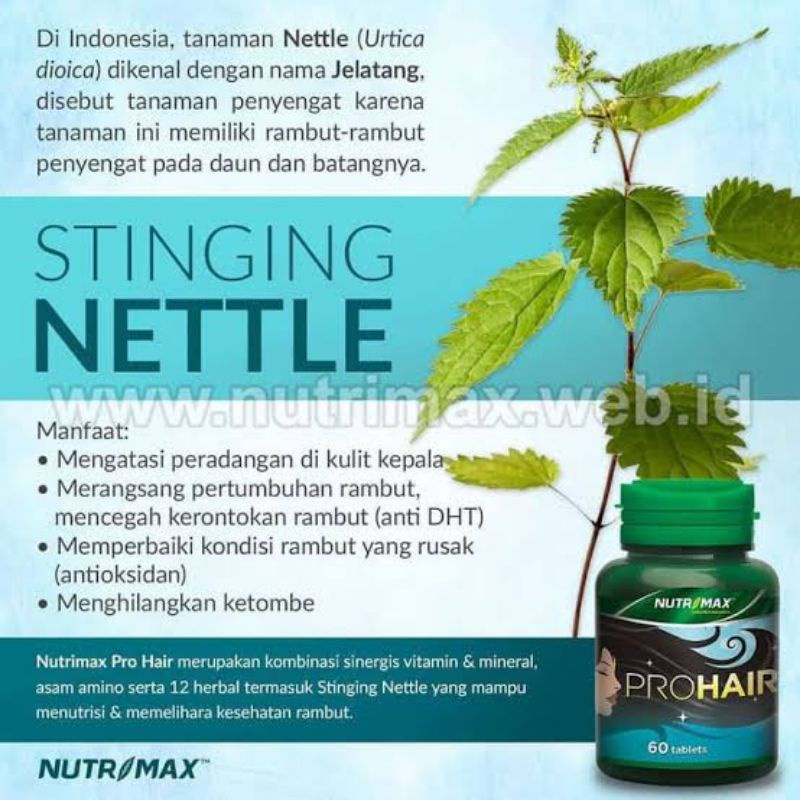 NUTRIMAX PROHAIR PRO HAIR SHINE VITAMIN OBAT RAMBUT RONTOK BOTAK TIPIS UBAN KETOMBE KUSAM 60 TABLET