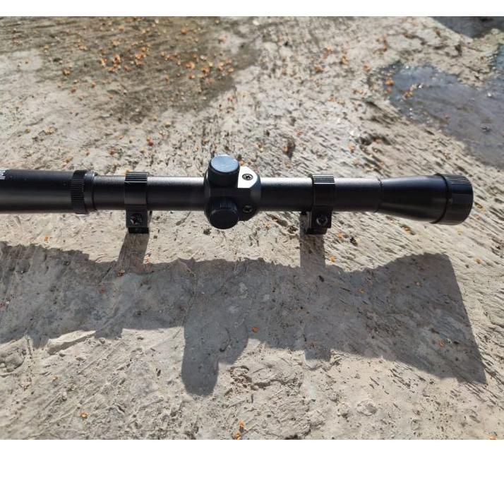 ➹ Bushnell 4 x 20 ✼