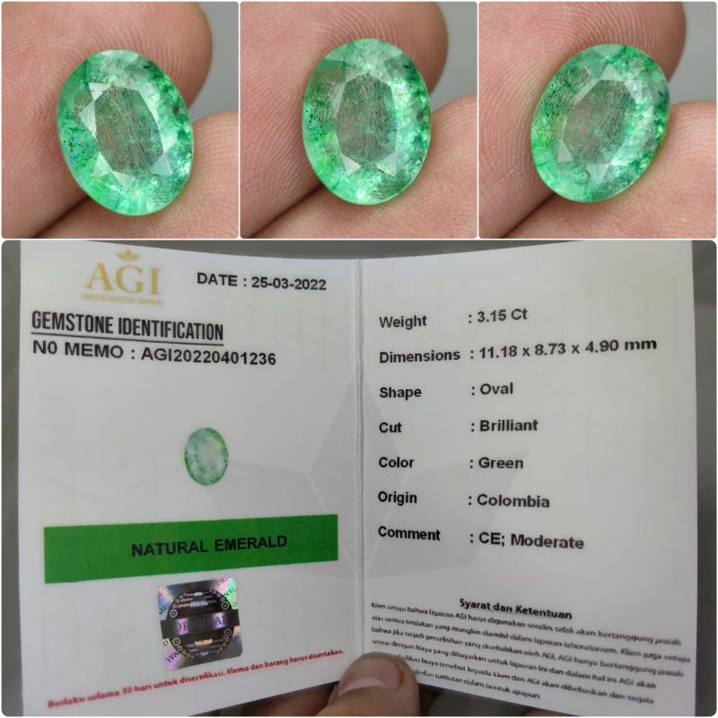 Natural Zamrud Colombia Plus Memo