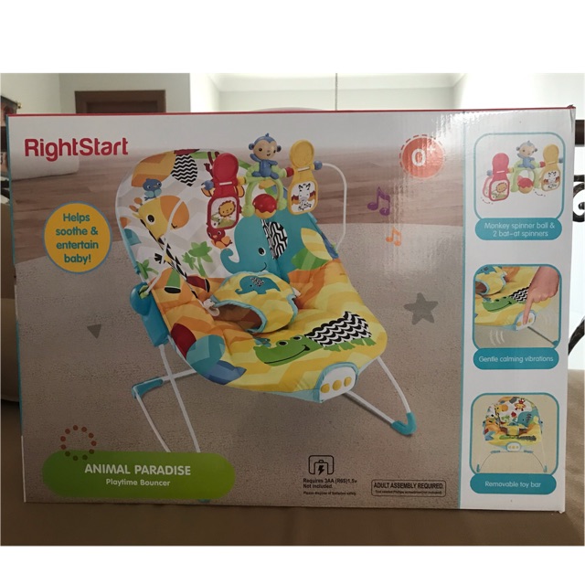 calming vibrations bouncer