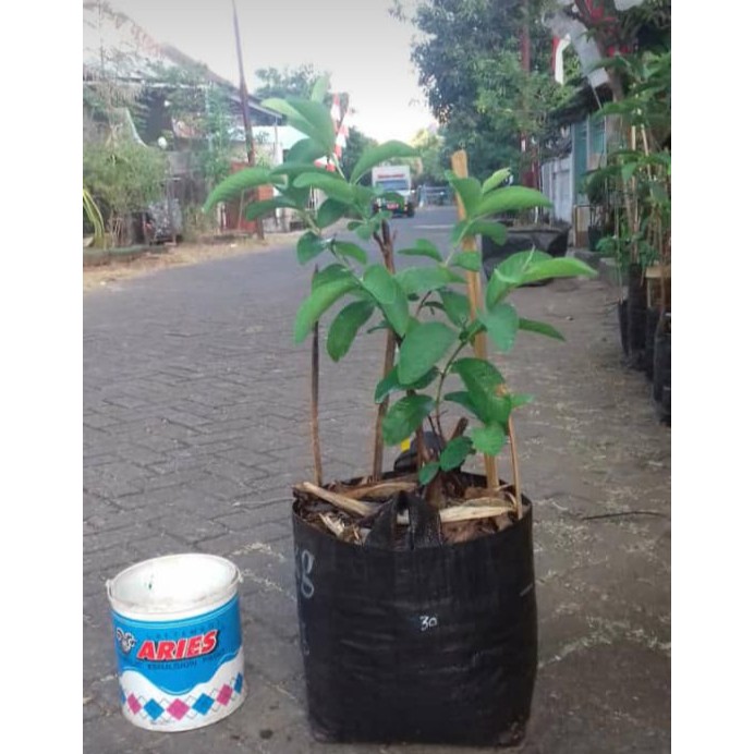 RPM Planter Bag / Planterbag / Ukuran 6 sampai 200 liter