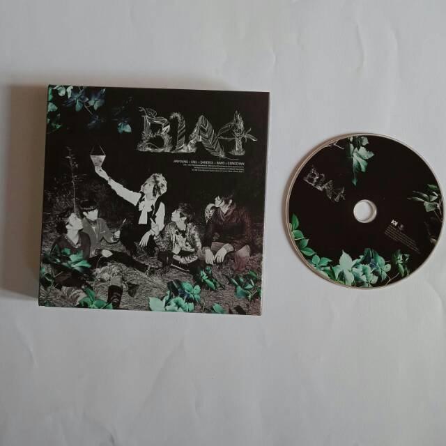 B1A4 IN THE WIND ALBUM