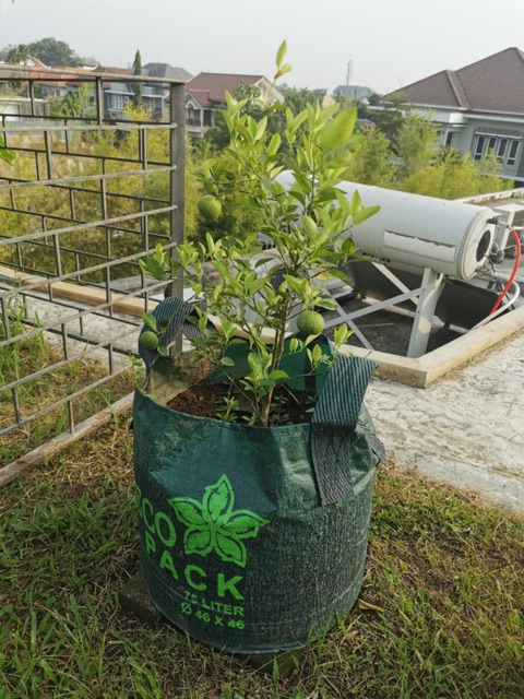 planter bag 75 &amp; 11 liter pot bibit terpal plant bag pot tanaman plastik polybag