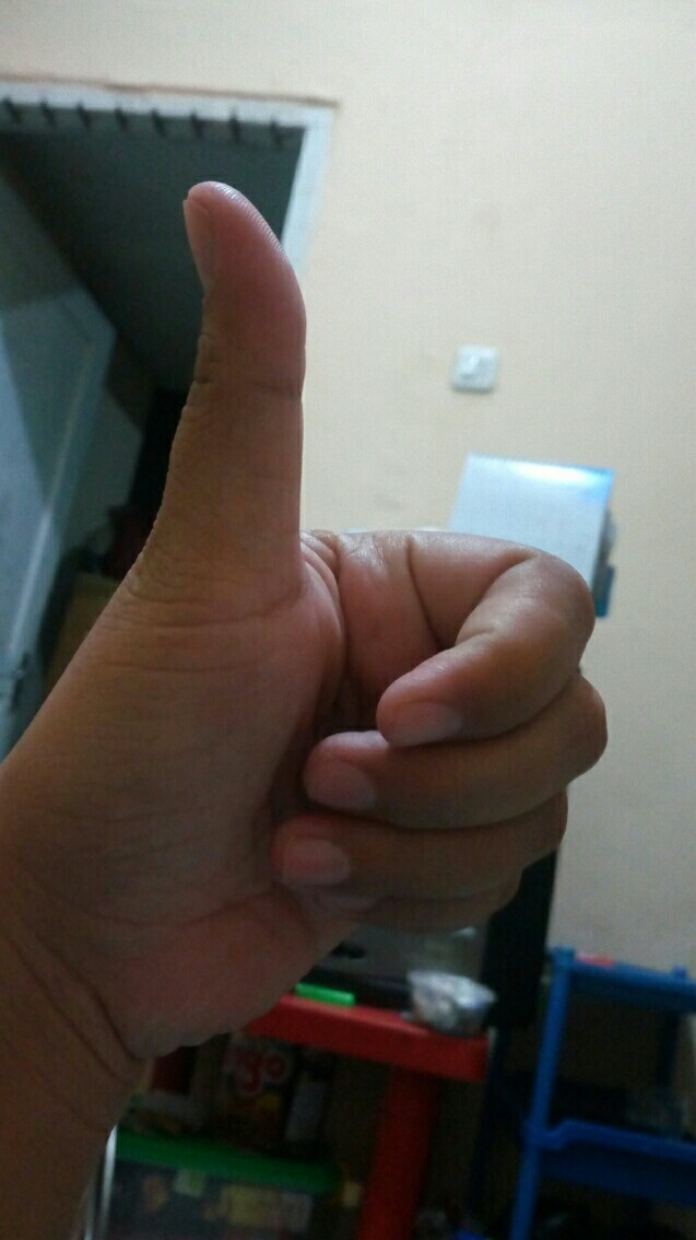 Greenleaf Mini Dorota Keranjang / Container / Multibox