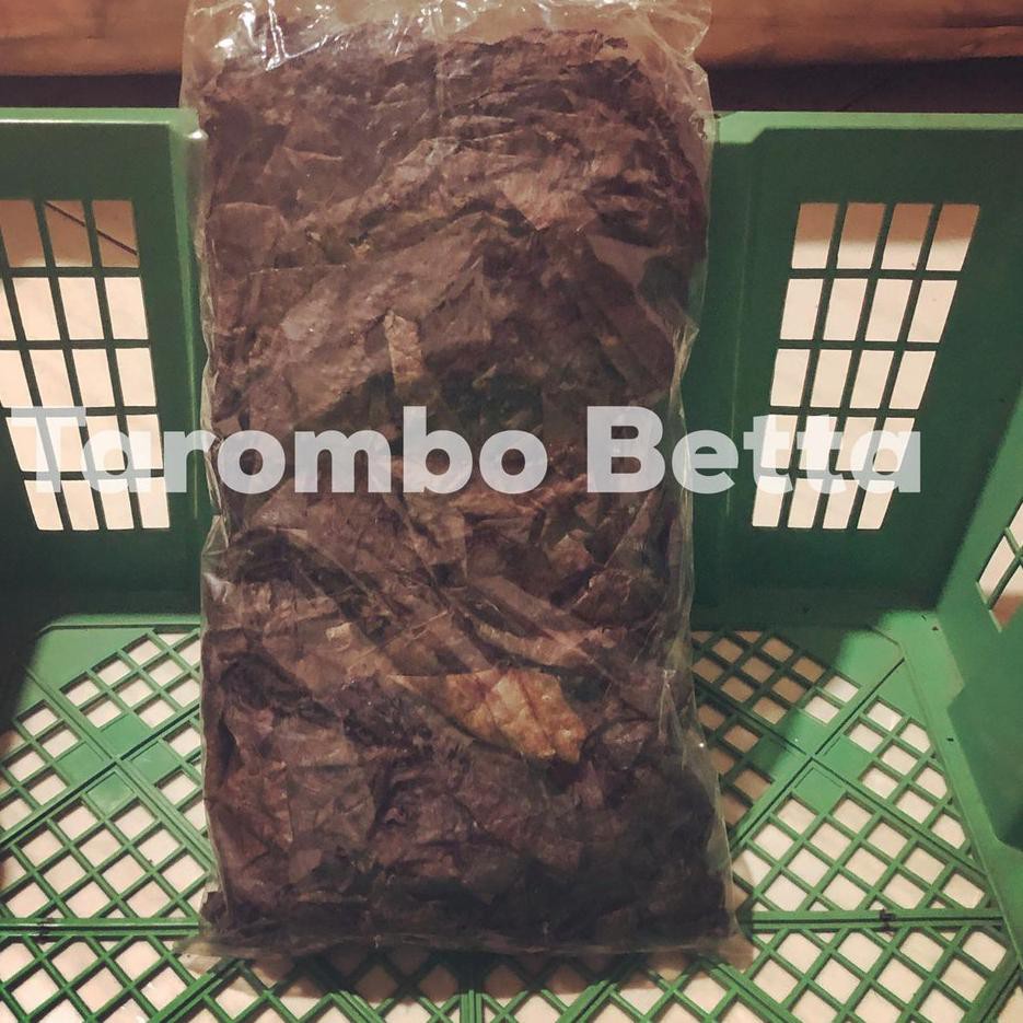 

Bagus Barang Ekspor Daun Ketapang Laut Fermentasi Olahan Isi Bersih 100 Gram 100gram Berat Bersih 10