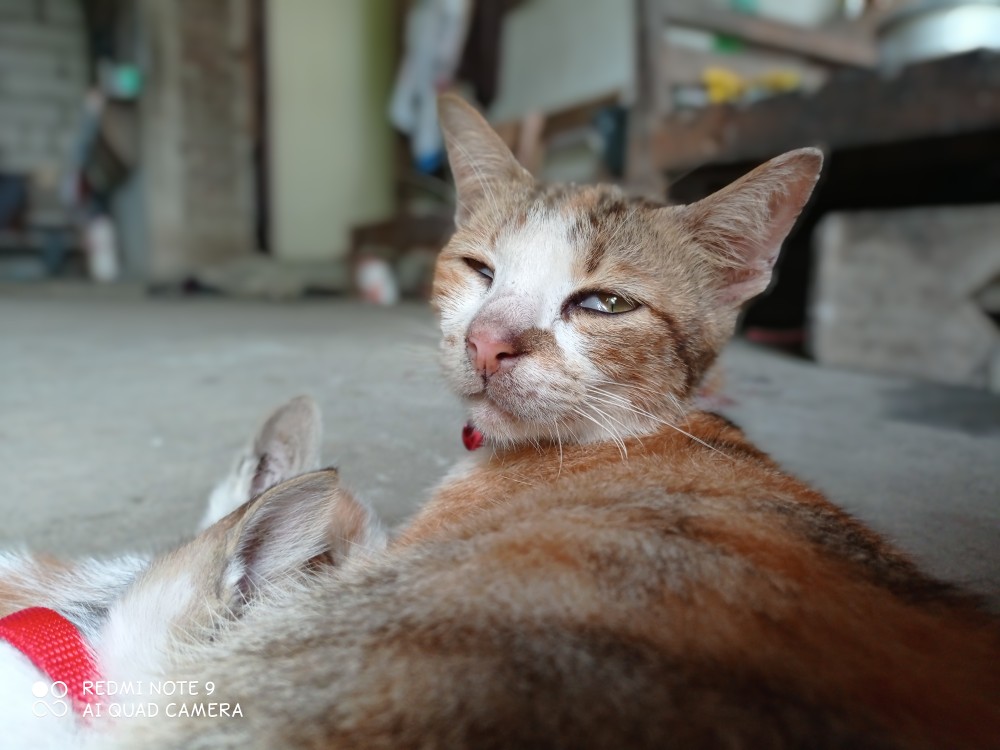 Batik Jumbo Big Size Jumbo Xxl Xxxl 3l 4l 5l Murah Batik Jumbo Couple m,l,xl,xxl,xxxl,xxxxl,xxxxxl