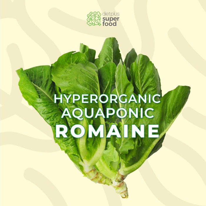 

Sayur Romaine Hyperorganik Aquaponik / Organik segar 200 gr / 0.20 kg Dietplus Superfood