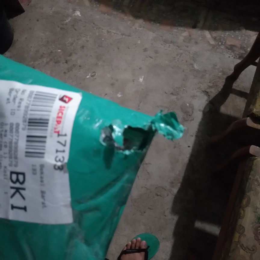 Racun Tikus Maowang Kuning Mao Wang Kuning Biasa