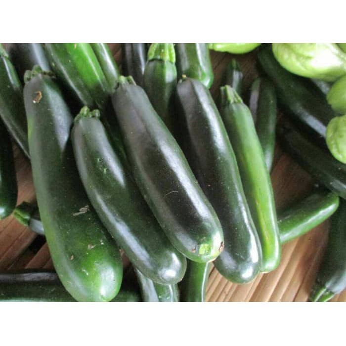 

Zucchini Cukini Summer Squash Timun (100% Fresh) 250gr - 500gr