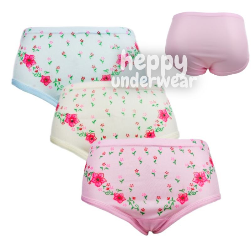 CD Haid Celana Hekit Haid Celana Dalam Wanita Menstruasi Cewek