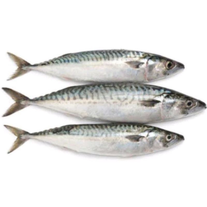 

Ikan Layang / Ikan Pindang Berat 500 Grm