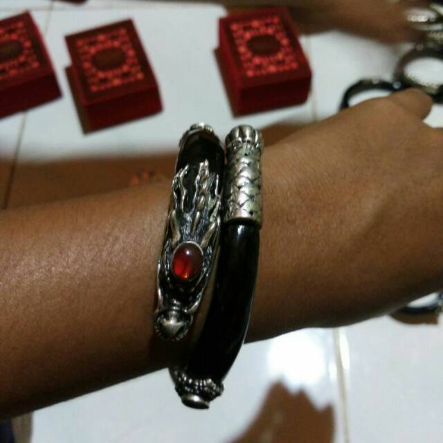 Akar bahar kepala naga