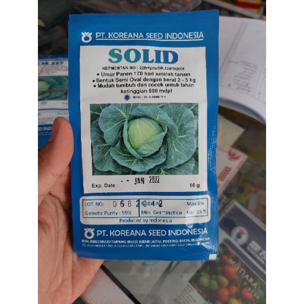 benih kubis solid 10gram