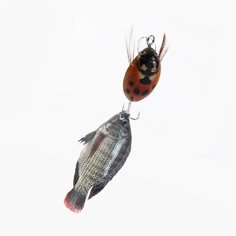 1Pc 4g Small Minoluya Floating Water Bionic Beetle Bait Fishing Tackle 3D Simulation Insect Bait For Trolling Tools