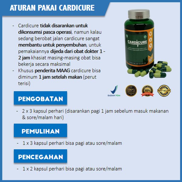 ORI Cardicure Obat Herbal Jantung Koroner Kolestrol Pengencer Darah