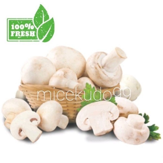 

JAMUR CHAMPIGNON 500GR SEGAR / FRESH MUSHROOM BUTTON / KANCING