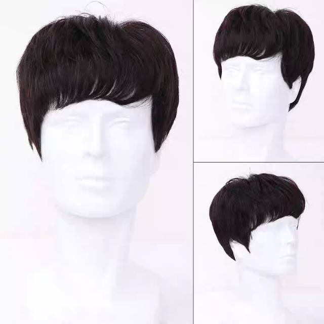 Wig Pria Impor 100% Human Hair LL01