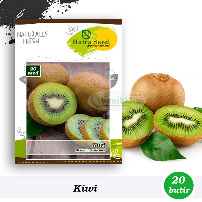 Benih-Bibit Buah Kiwi (Haira Seed)