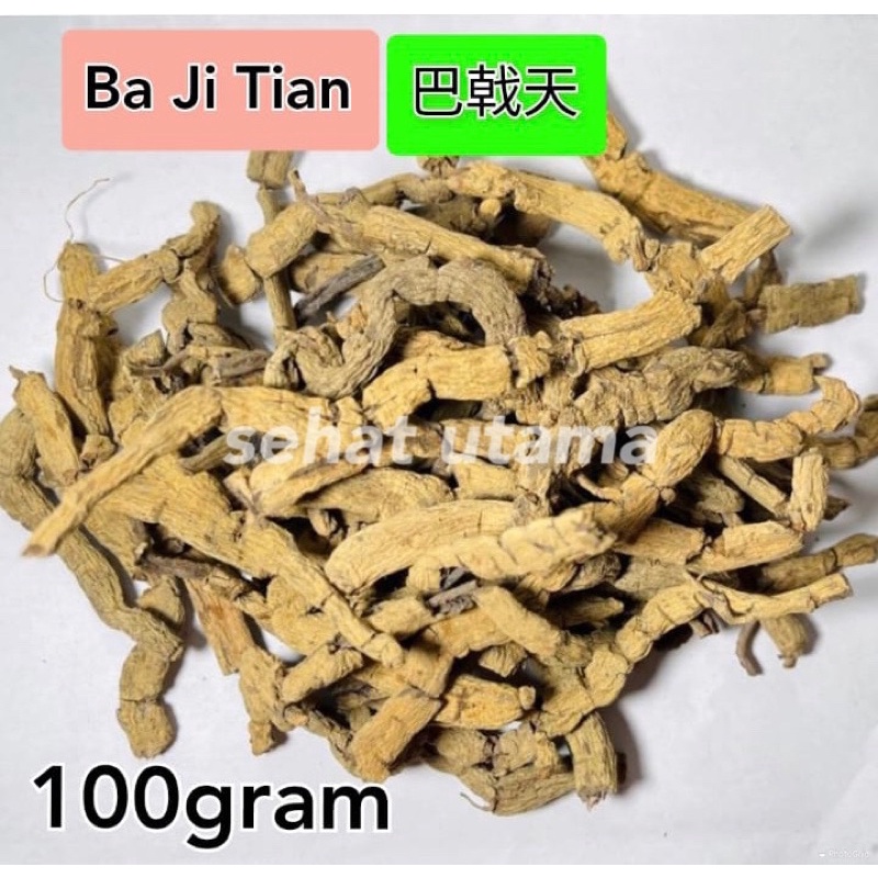 

Ba Ji Tian 100 Gram 巴戟天 Radix Morindae Officinalis