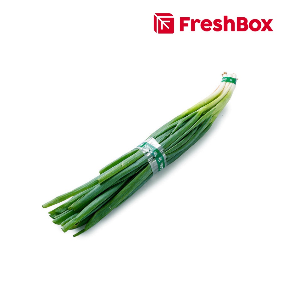 

Daun Bawang Besar 250 gr FreshBox