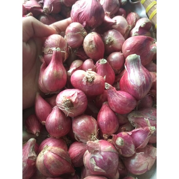 

Bawang Merah 1kg