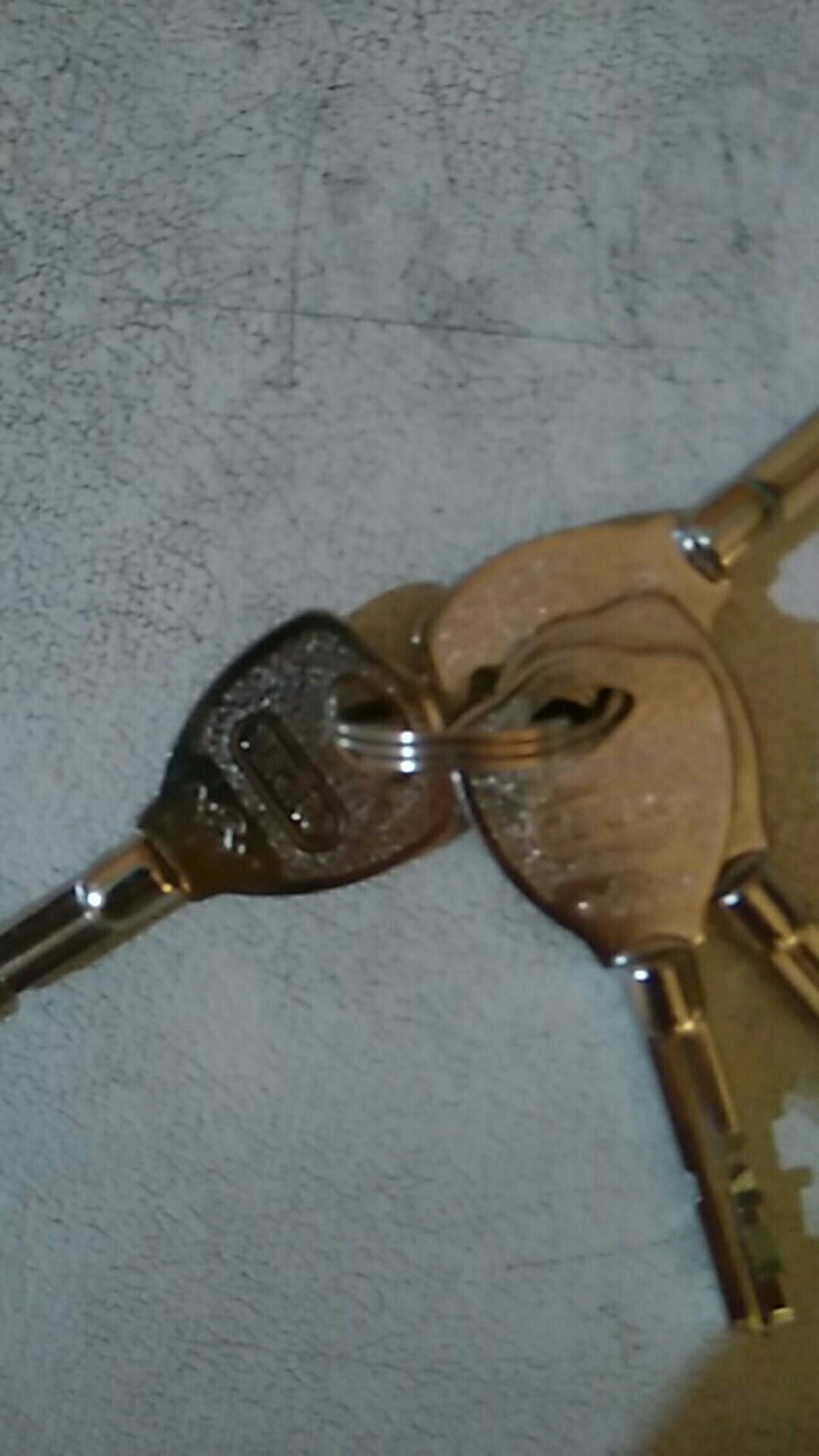 Tekiro Gembok 40 Mm Leher Pendek  Keep Soligen