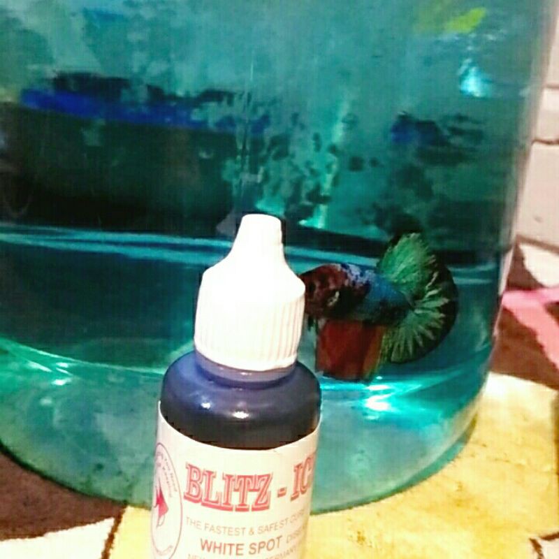 obat tetes biru untuk ikan cupang/