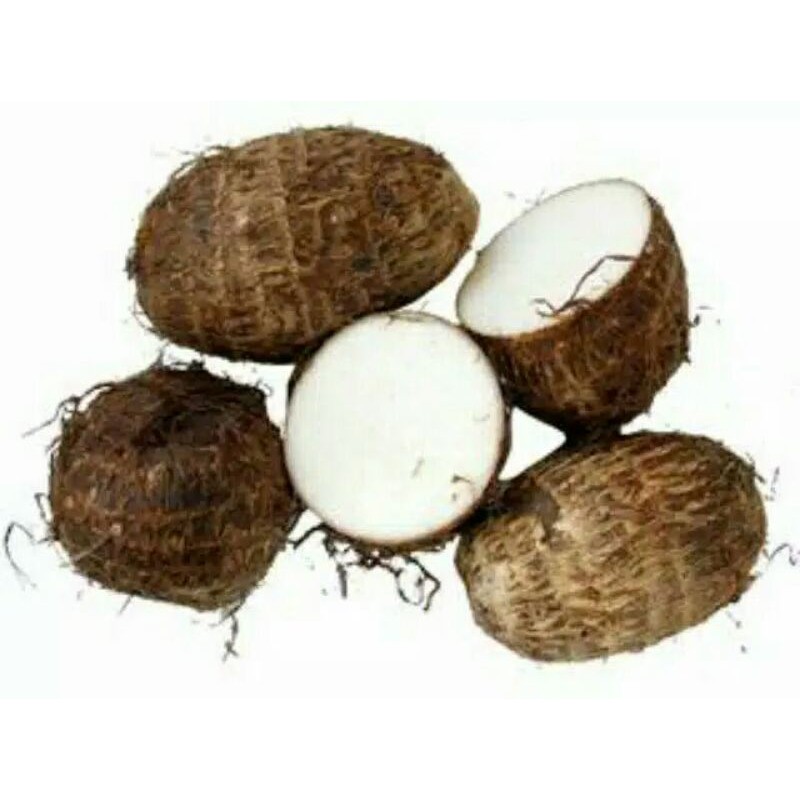 

umbi talas fres segar baru 1 KG