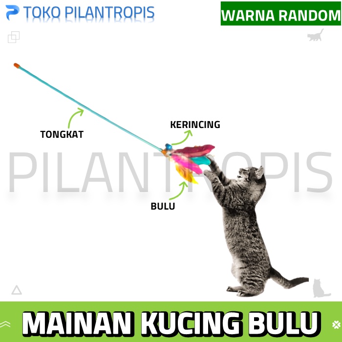 MAINAN ANAK KUCING CAT TEASER TONGKAT KUCING STIK STICK TALI BULU LONCENG CAT TOY CAT TOYS MURAH