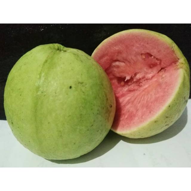 

Jambu Biji Merah