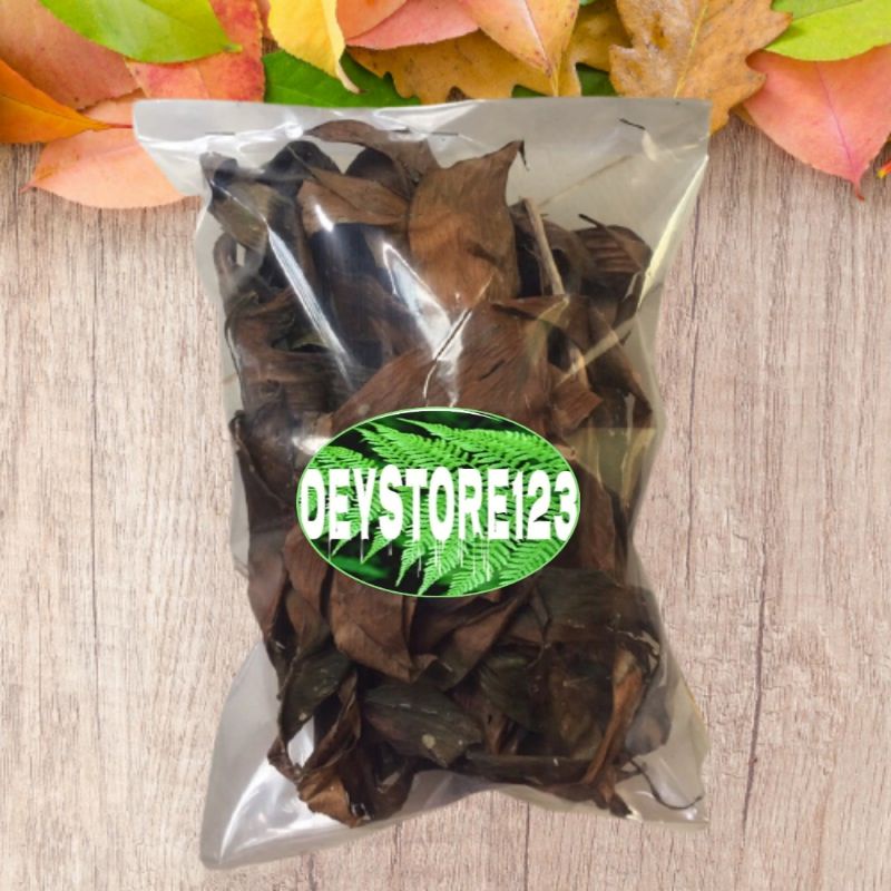 

Jual Daun Ekor Naga Kering Per 250 Gram