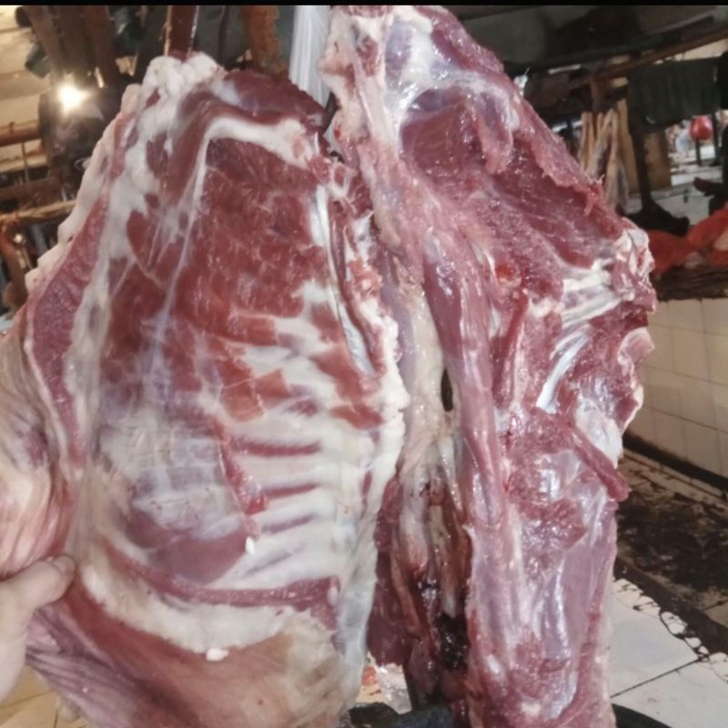 

Iga Kambing