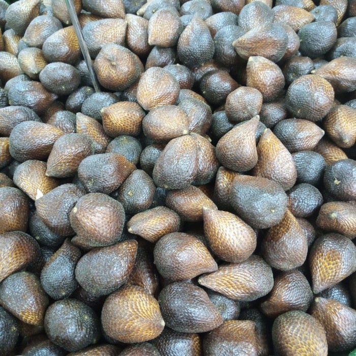 

Buah salak pondoh jumbo ( 900g - 1kg )