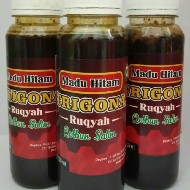 

madu trigona