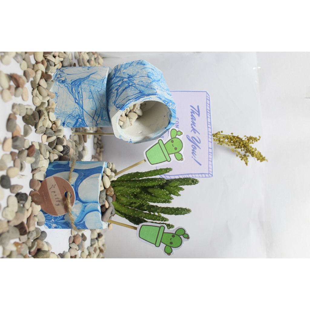 POT MINIMALIS MARBLE/ HIASAN RUMAH/ POT KAKTUS DAN SUKULEN/ SOUVENIR/ CUSTOME