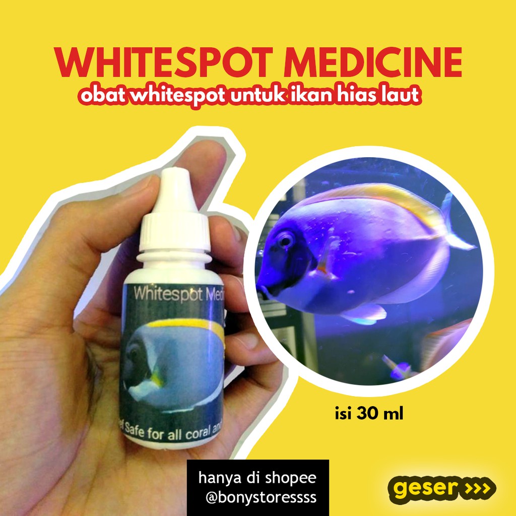 660+ Obat Jamur Ikan Hias Air Laut HD Terbaru