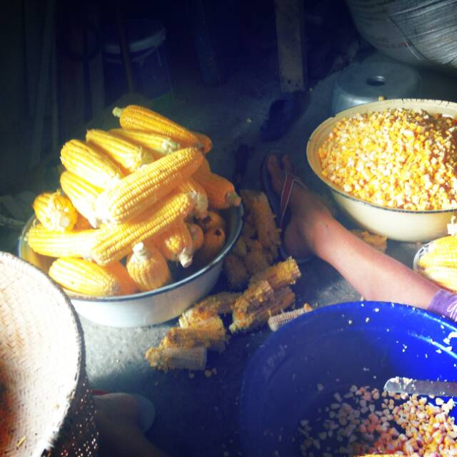 

japilnis(jagung pipil manis)