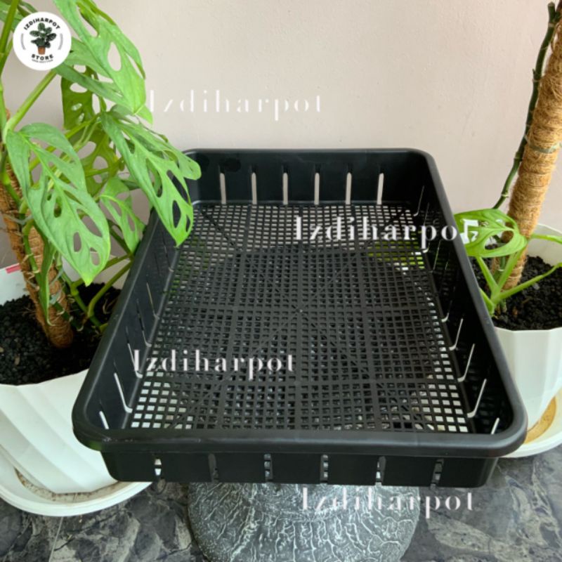 Tray pot untuk semai bibit hidroponik 50cm - TRAY POT NKT 50CM