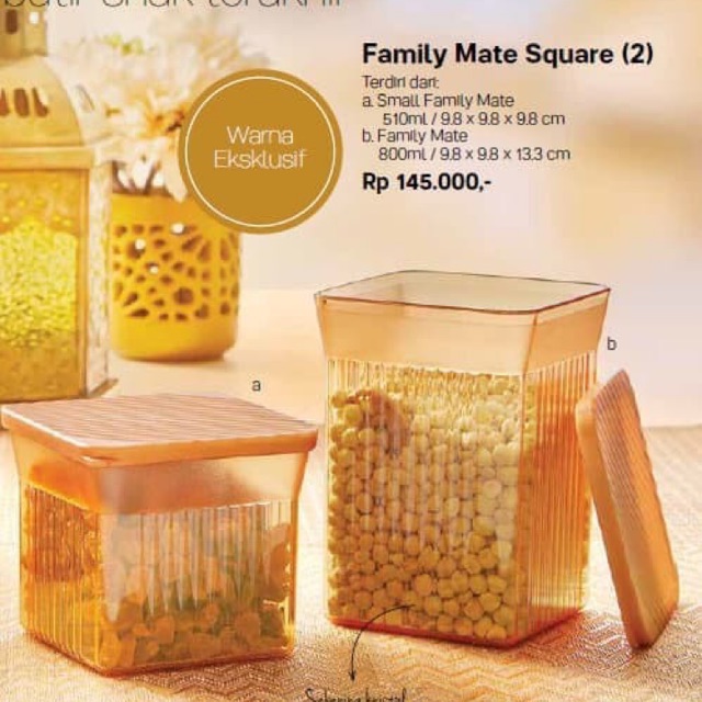Toples gold family mate square (2)