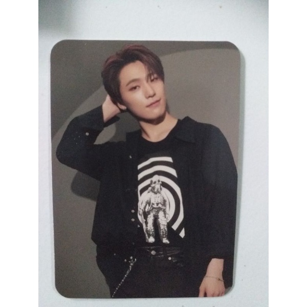 PC DINO DICON SEVENTEEN