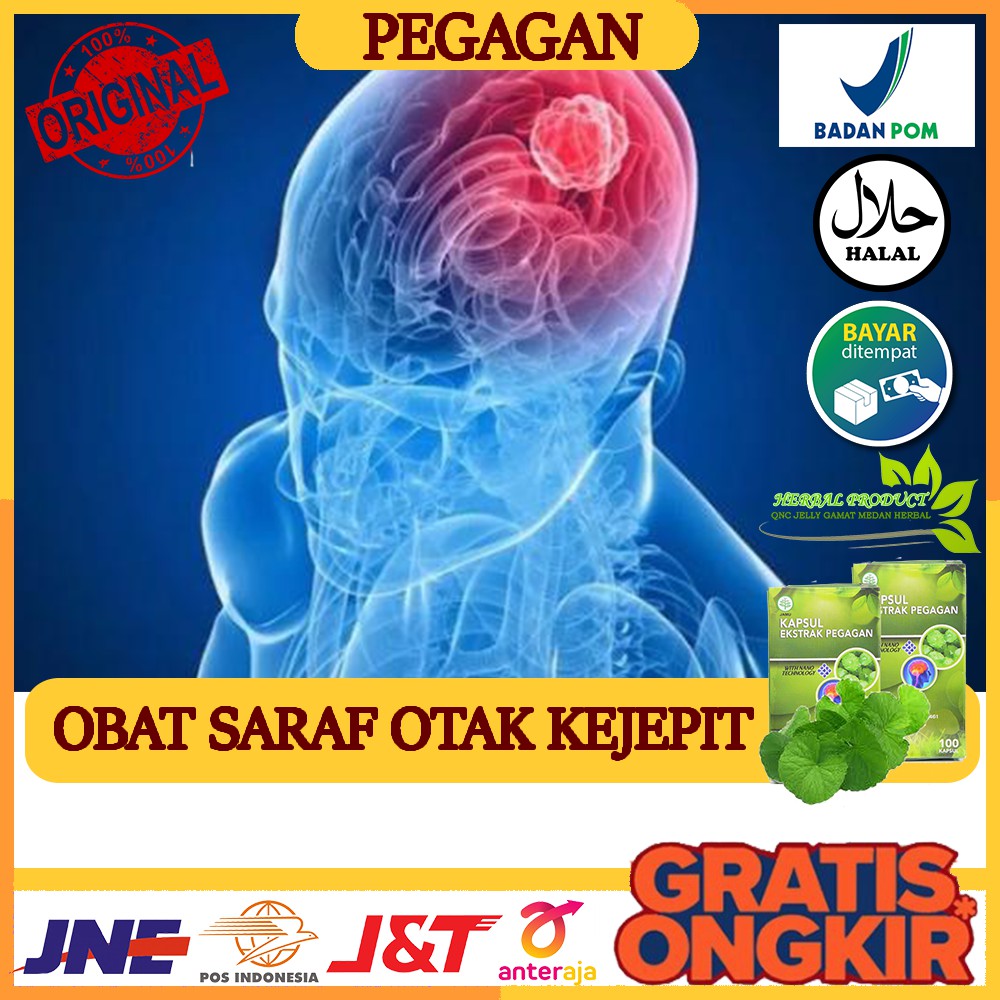 Jual Obat Alami Saraf Otak Kejepit - Radang Selaput Otak - Sklerosis ...