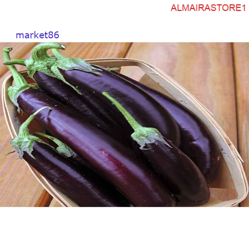 

Grosir Sayuran Segar Sayur FRESH Terong Ungu 250 Gram - Market86