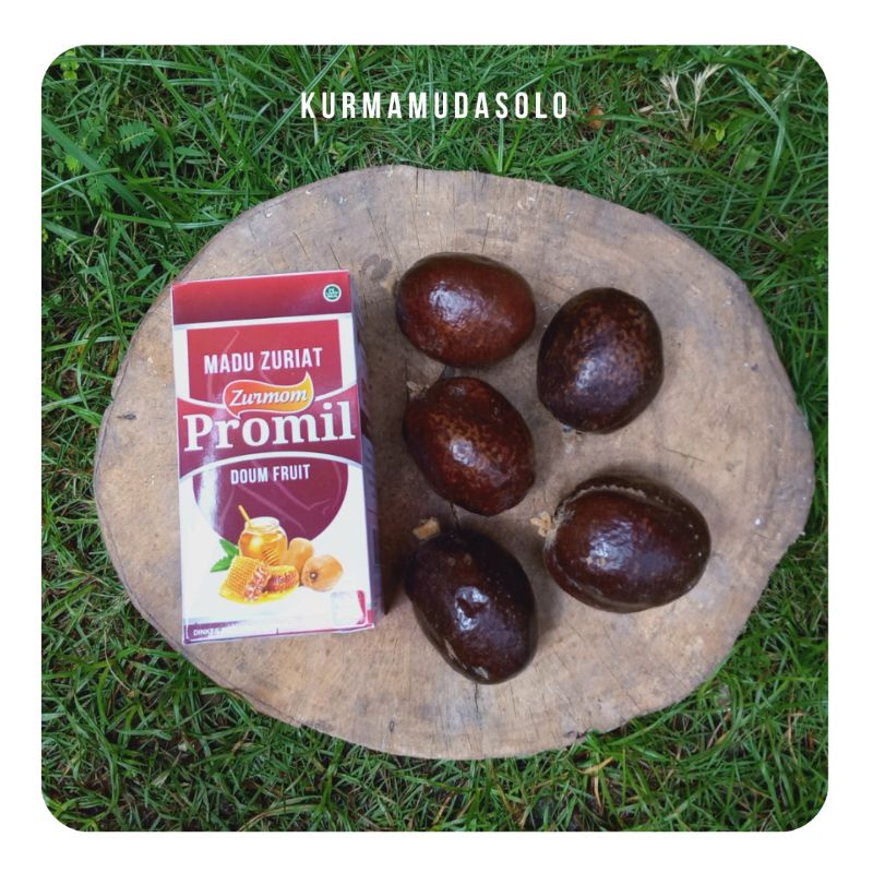 PAKET ZURIAT MADINAH DAN MADU ZURIAT