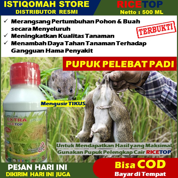 RICETOP 500ml Obat Semprot Untuk Mengusir Tikus Sawah - Obat Untuk Hama Tikus Di Sawah - Obat Sempro