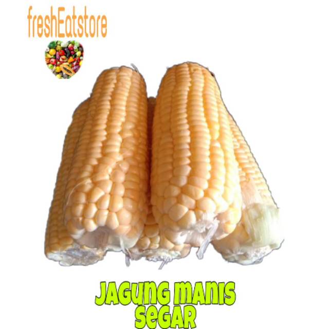 

Jagung manis segar